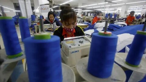 Bonobo: Nguồn Gốc Tiến Hóa Của Ngôn Ngữ Con Người?
