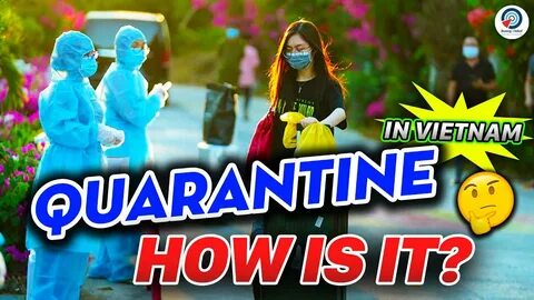 Bonobo: Nguồn Gốc Tiến Hóa Của Ngôn Ngữ Con Người?_kỹ năng sáng tạo nội dung