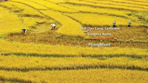 Từ Nếu tôi là cô bé ấy của năm đến chiến lược content: Hotspot Matrix chia sẻ_chiến lược tiếp thị video cho startup